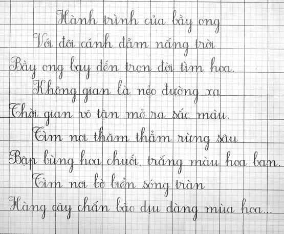 Tìm giáo viên luyện chữ đẹp tại nhà Hà Nội